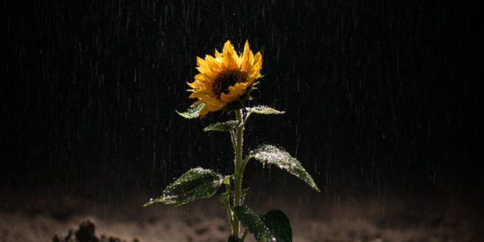 b9e8748608ccae2f4046c2c9566e8b5d