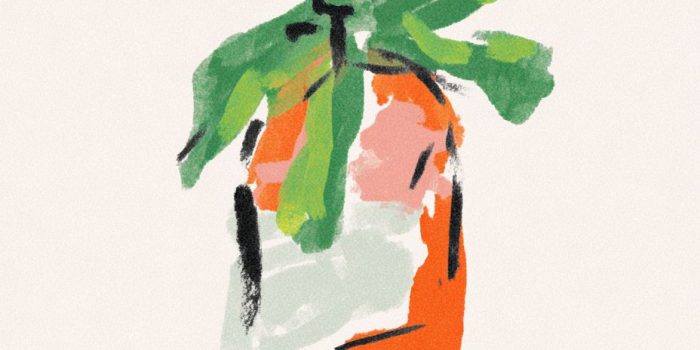 AI提示词_水彩画风格的红葡萄酒瓶配绿色蝴蝶结_chatgpt会员怎么开通缩略图