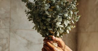 AI提示词_一位女性的双手悬挂着一束新鲜的桉树叶，营造出简约而自然的奢华感_chatgpt中文版缩略图