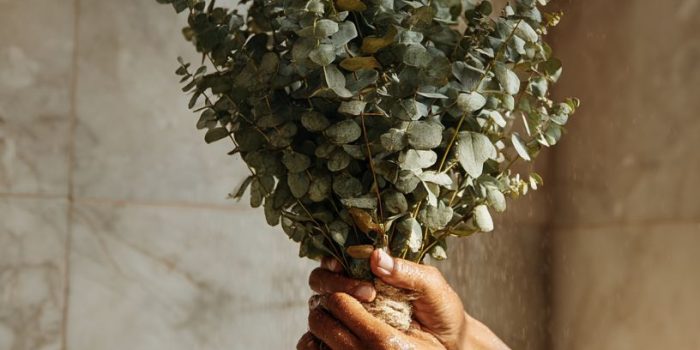 AI提示词_一位女性的双手悬挂着一束新鲜的桉树叶，营造出简约而自然的奢华感_chatgpt中文版缩略图