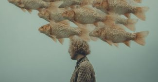 ChatGPT提示词_在荒野中放松自我，毫无畏惧地与鱼共处_chatgpt5缩略图