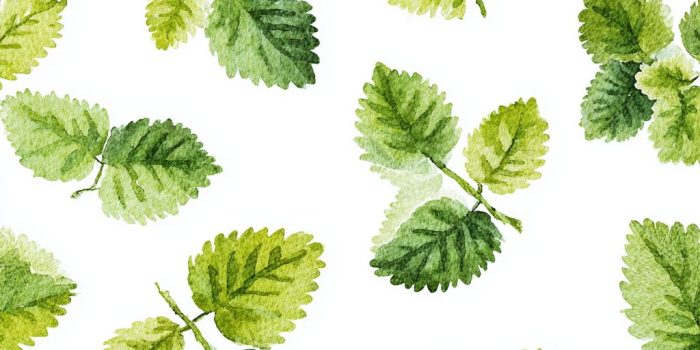 c3660cfaad1df854fbaad687f774ae65