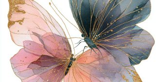 c6328b6bdf30389199509b670f5576c8