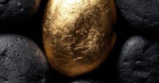 c6e84084a5817f2a61fab6568f4f8e61