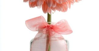 ChatGPT提示词_一朵粉色的非洲菊在优雅的玻璃花瓶里，背景是白色的_chatgpt4.0在线网页缩略图