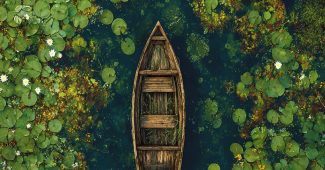 ChatGPT_AI提示词_一艘木船在睡莲池中_chatgpt会员缩略图