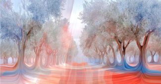 ChatGPT_AI提示词_一片宁静的橄榄树林_chatgpt帐号批发缩略图