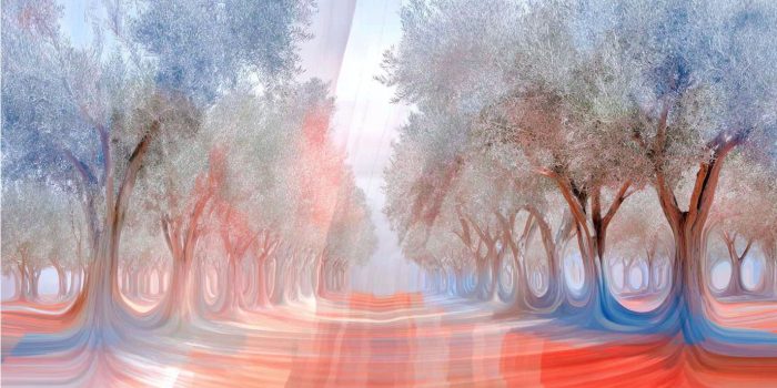 ChatGPT_AI提示词_一片宁静的橄榄树林_chatgpt帐号批发缩略图