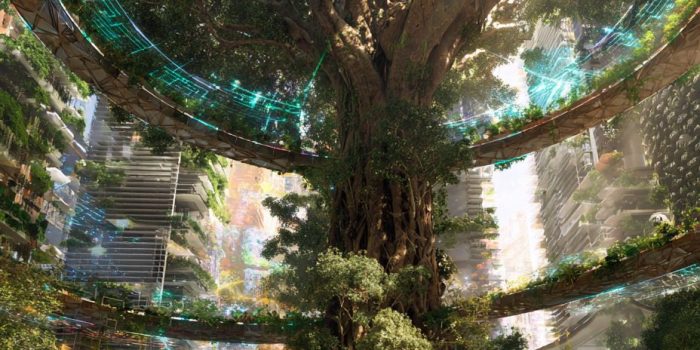 cc324049e905084148f34a7e5e2e001b