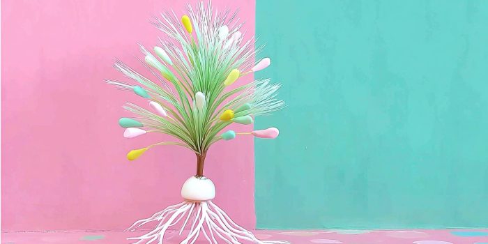 AI提示词_一根微小的根毛_chatgpt会员收费标准缩略图