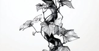 AI提示词_一根优雅的藤蔓卷须_如何开通gpt会员功能缩略图