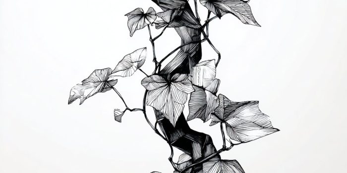 AI提示词_一根优雅的藤蔓卷须_如何开通gpt会员功能缩略图