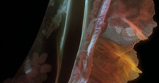 ChatGPT_AI提示词_一个精致的蕾丝图案_chatgpt在线试用缩略图