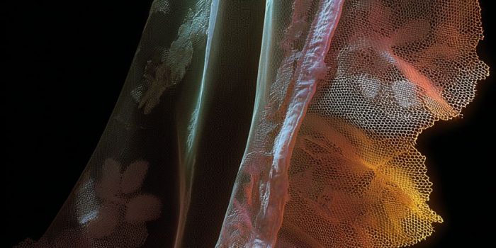 ChatGPT_AI提示词_一个精致的蕾丝图案_chatgpt在线试用缩略图