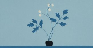 AI提示词_一根新鲜的香芹_国内如何买gpt会员卡便宜点缩略图