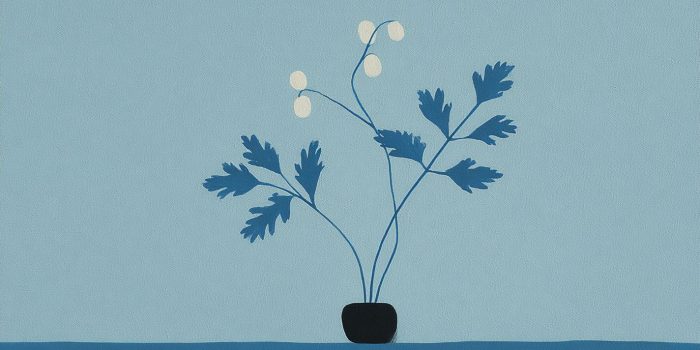 AI提示词_一根新鲜的香芹_国内如何买gpt会员卡便宜点缩略图