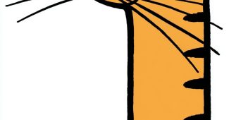 ChatGPT提示词_猫_chatgpt中文版免费使用缩略图