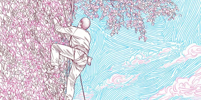 ChatGPT_AI提示词_一堵攀爬的野生常春藤墙_chatgpt在线网页版官网缩略图