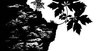 AI提示词_一片大胆的叶子边缘_chatgpt5和4的对比图缩略图