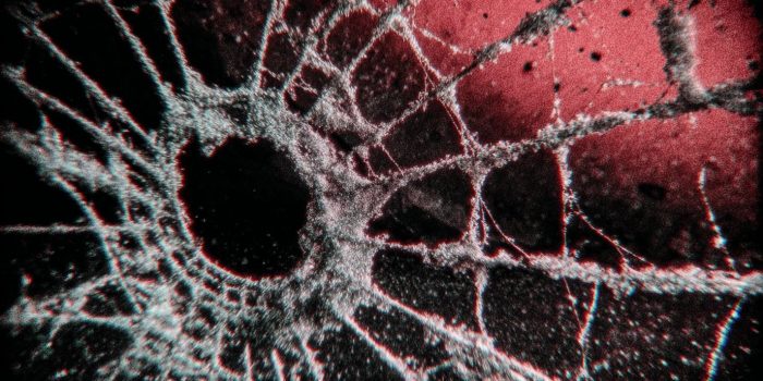 AI提示词_一张小蜘蛛网_怎么开通chatgpt会员缩略图