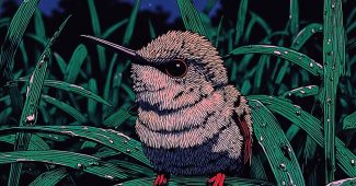 ChatGPT_AI提示词_一只微小的蜂鸟_chatgpt 下载缩略图