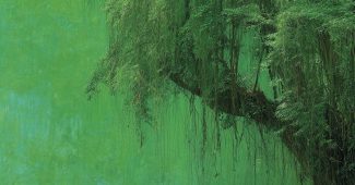 ChatGPT提示词_在绿草如茵的草地上，有一棵高耸的榕树和一条长椅，适合坐下休息_chatgpt免费了吗缩略图