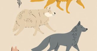 ChatGPT_AI提示词_一群野生狼_chatgpt会员费多少钱缩略图