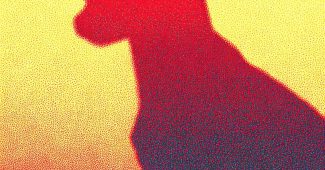 e6acc42f433fa16ec02a990c9e0e2492