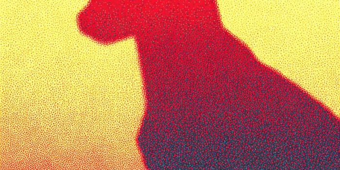 e6acc42f433fa16ec02a990c9e0e2492