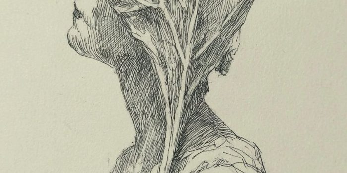 AI提示词_一片顽皮的卷叶_chatgpt在线试用缩略图