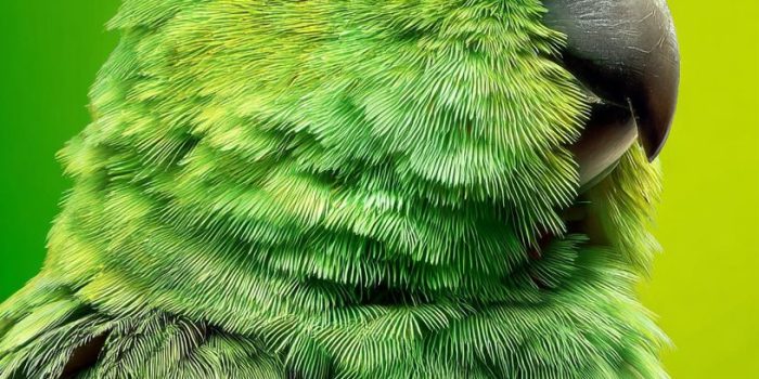 eaa5fec900c6ddb42aa2948007052648