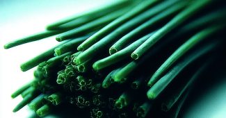 AI提示词_一根新鲜的葱_chatgpt会员有什么功能缩略图