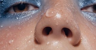 ed65158f2316399848a5155383802990