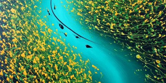 ChatGPT_AI提示词_一条小蚂蚁的踪迹_chatgpt网页缩略图