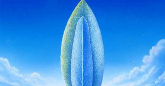 AI提示词_一片新鲜的鼠尾草叶_chatgpt5.0最新消息缩略图