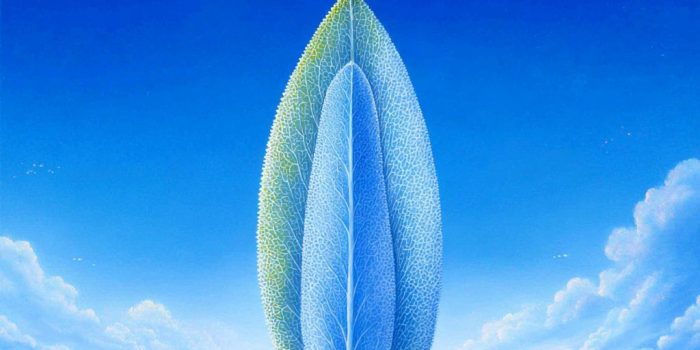 AI提示词_一片新鲜的鼠尾草叶_chatgpt5.0最新消息缩略图