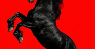 f08755e3a11a1b6b5de0404d27cda236