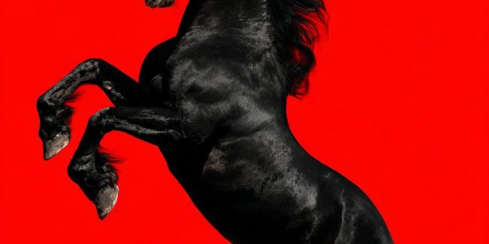 f08755e3a11a1b6b5de0404d27cda236