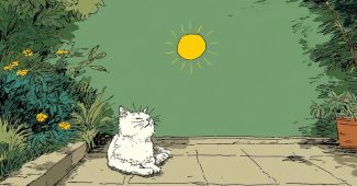 ChatGPT提示词_一只可爱的猫在阳光下晒太阳_chatgpt5多少钱缩略图