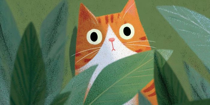 ChatGPT提示词_cat 相关内容_chatgpt会员多少钱一次缩略图