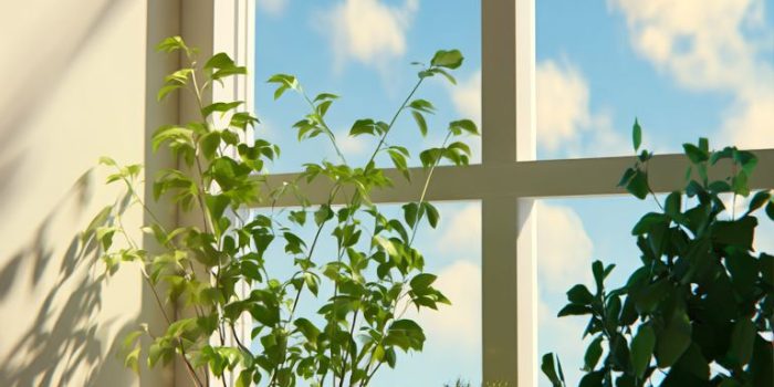 ChatGPT提示词_阳光公寓的家居花园，动漫风格的温暖粉彩插画_chatgpt账号缩略图