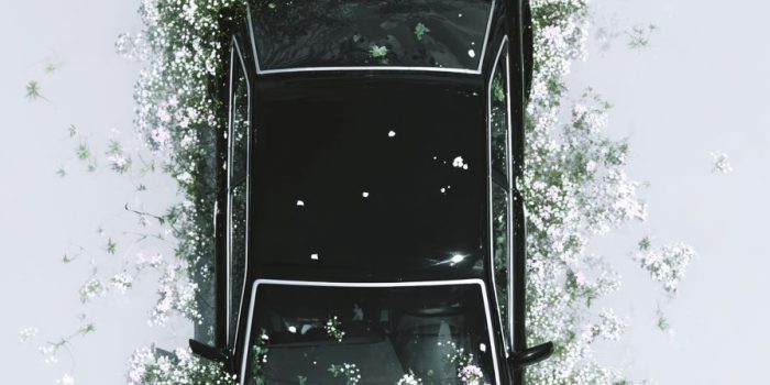 f1537579dd01900249c88100605b1a7e