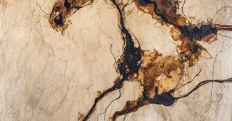 f207c68ccac0c8c070d6f7245a93ec3b