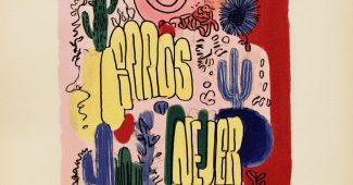 ChatGPT提示词_字母设计：卡洛斯·内哈尔_chatgpt在线网页聊天缩略图