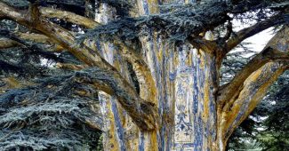 ChatGPT_AI提示词_一棵古老的雪松树_chatgpt中文版gpt4缩略图