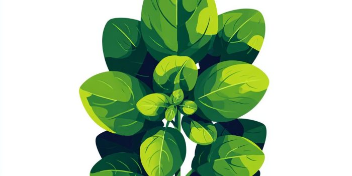 ChatGPT_AI提示词_新鲜的罗勒香草_chatgpt会员费多少钱缩略图