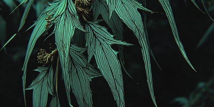 AI提示词_一根优雅的柳枝_国内如何开通gpt会员缩略图