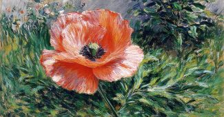 AI提示词_一朵宁静的花朵正悄然绽放_chatgpt5.2需要钱吗缩略图