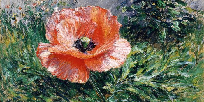 AI提示词_一朵宁静的花朵正悄然绽放_chatgpt5.2需要钱吗缩略图