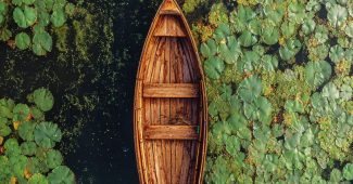 ChatGPT_AI提示词_一艘木船漂浮在睡莲池塘中_chatgpt会员多少钱一次缩略图